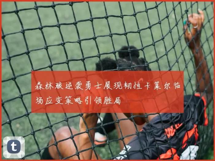 森林狼逆袭勇士展现韧性卡莱尔临场应变策略引领胜局